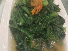 -香满楼(南关店)