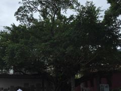 -闽粤南澳总镇府