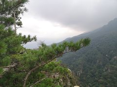 -牛背梁国家森林公园
