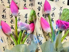 -苏州市皮市街花鸟工艺品市场