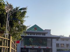 -打洛口岸