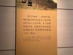 -烟台市博物馆