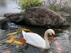 -罗红摄影艺术馆