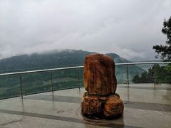 -铁山坪森林公园