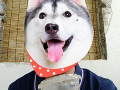 -漫笙舍Manse·咖啡·民宿