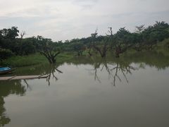 -鹤之洲湿地公园