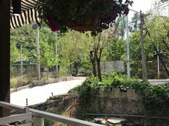 -Local泰莲庭(虹鳟鱼店)