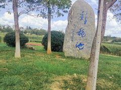 -呈贡滇池生态湿地公园