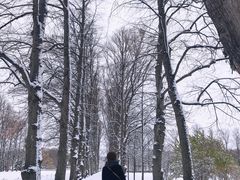 -维格兰雕塑公园