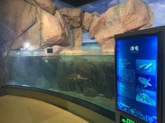 -福州罗源湾海洋世界旅游区