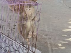 -石家庄市动物园