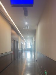 -上海玫瑰医疗美容医院