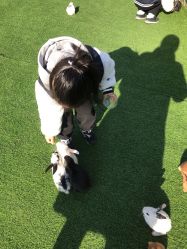 -萌宠亲子动物乐园(槐房万达店)