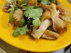 -石岐乳鸽村(南海第三分店)