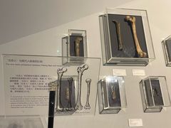 -北京周口店北京人遗址博物馆