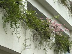 -阡陌上花园设计师民宿(深圳坪洲地铁站店)