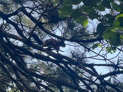 -沈阳辉山风景区