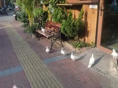 -東更道点心行(文化东路店)