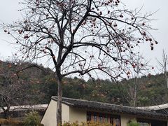 -东钱湖旅游度假区