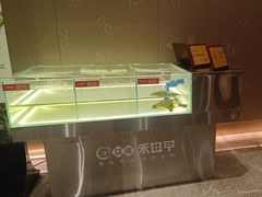 -桃花源中餐厅(金茂豪华精选酒店)