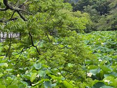 -鹤冈八幡宫