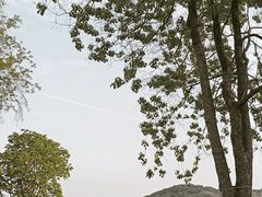 -西山漾湿地公园