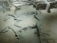 -洛阳周王城天子驾六博物馆