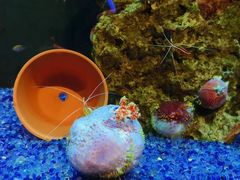 -海合安武汉极地海洋公园