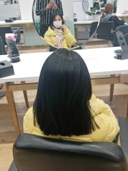 -YESIDO椰岛造型