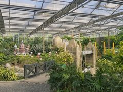 -南宫五洲植物乐园