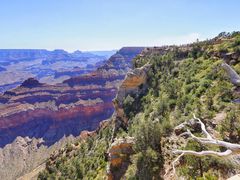 -科罗拉多大峡谷