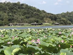 -东钱湖旅游度假区