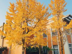 -浙江万里学院(钱湖校区)