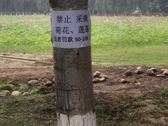 -东郊湿地公园