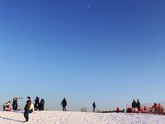 -绿野森林乐园冰雪季