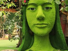-呀路古热带植物园
