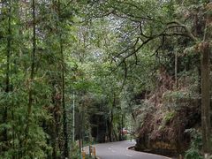 -缙云山景区