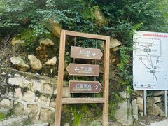 -大岭沟猕猴桃谷风景区