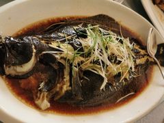 鸦片鱼-泛海名人酒店-餐厅