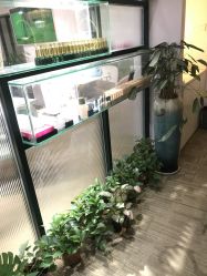 -S庆熙美学皮肤管理