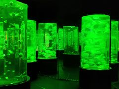-大连老虎滩海洋公园