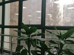 -青岛市图书馆