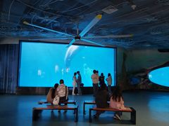 -海合安成都极地海洋公园