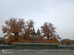 -北京石刻艺术博物馆(五塔寺)