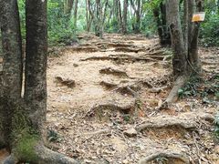 -梧桐山风景名胜区