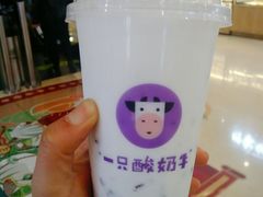 -一只酸奶牛(八一路店)