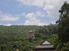 -水濂山森林公园