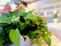 -奈雪的茶(观前街店)