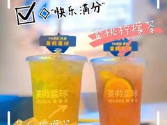 -茶救星球·蔬果茶(东城万达店)