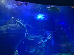 -多彩贵州城极地海洋世界